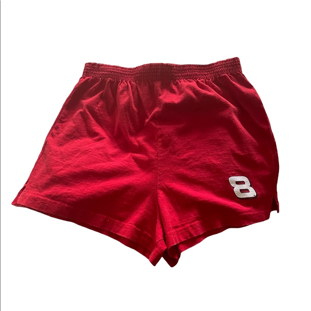 - 90’s Vintage Dale Jr. Booty Shorts